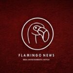Flamingo news